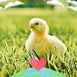 Meet your Posher, Sandy